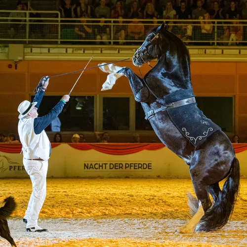 Willy Schauberger (c) Michael Graf (1).jpg