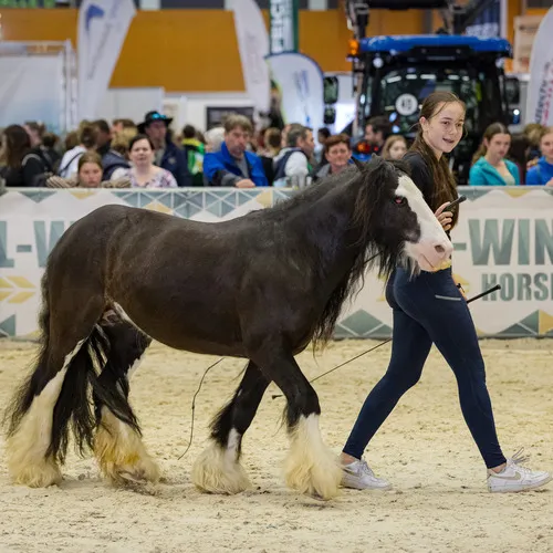 Michael Graf - MIKEs FotoGRAFie - Donnerstag NM (5).jpg