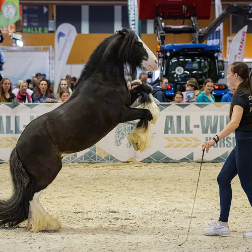 Michael Graf - MIKEs FotoGRAFie - Donnerstag NM (10).jpg