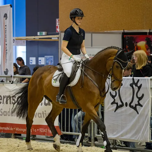 Michael Graf - MIKEs FotoGRAFie - Donnerstag NM (44).jpg