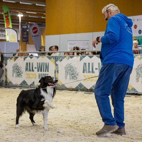 Michael Graf - MIKEs FotoGRAFie - Donnerstag NM (19).jpg