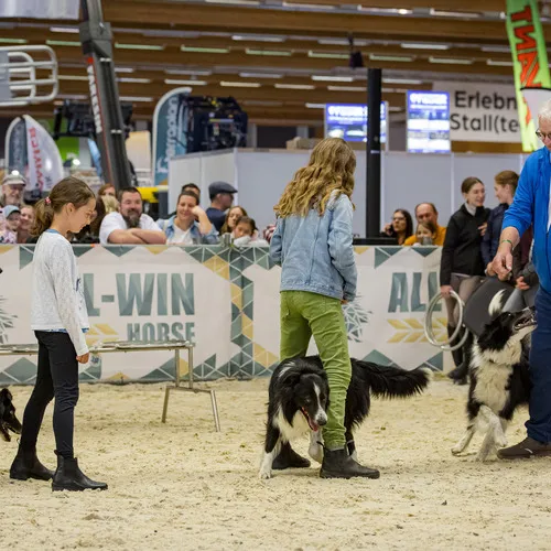 Michael Graf - MIKEs FotoGRAFie - Donnerstag NM (23).jpg