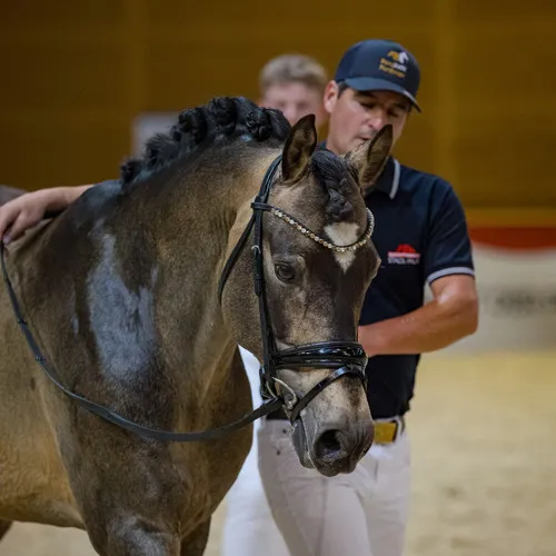 Michael Graf - MIKEs FotoGRAFie - Donnerstag NM (58).jpg