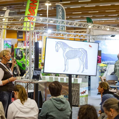 Michael Graf - MIKEs FotoGRAFie - Donnerstag NM (105).jpg