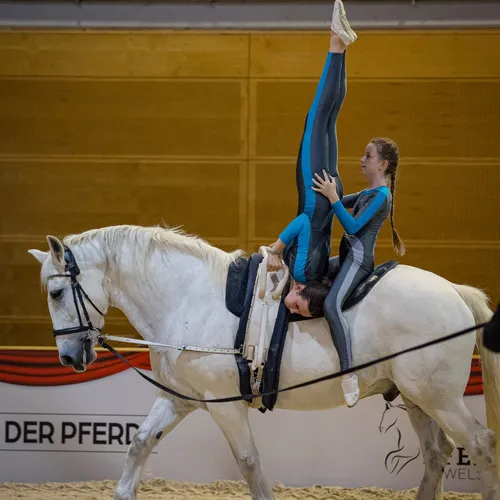 Michael Graf - MIKEs FotoGRAFie - Donnerstag NM (119).jpg