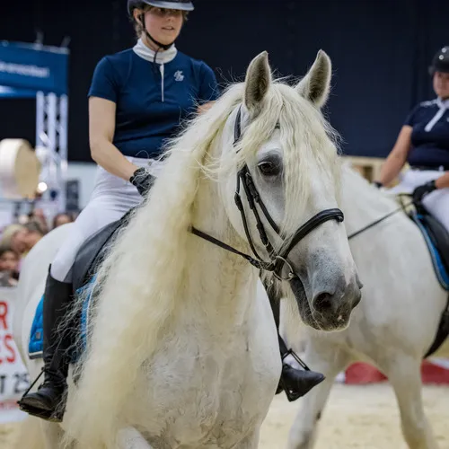 Michael Graf - MIKEs FotoGRAFie - Donnerstag NM (138).jpg