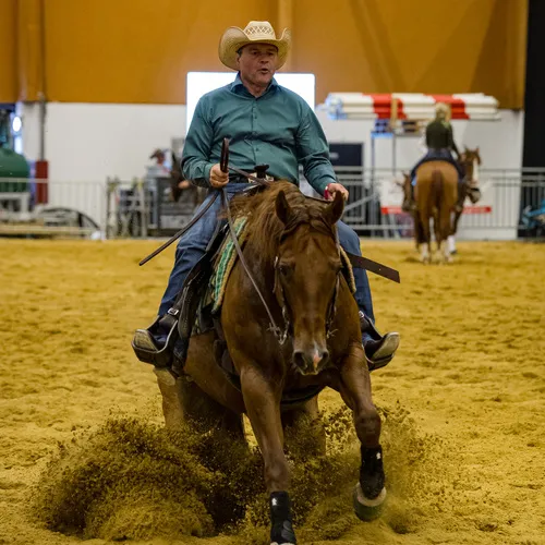 Michael Graf - MIKEs FotoGRAFie - Donnerstag NM (147).jpg