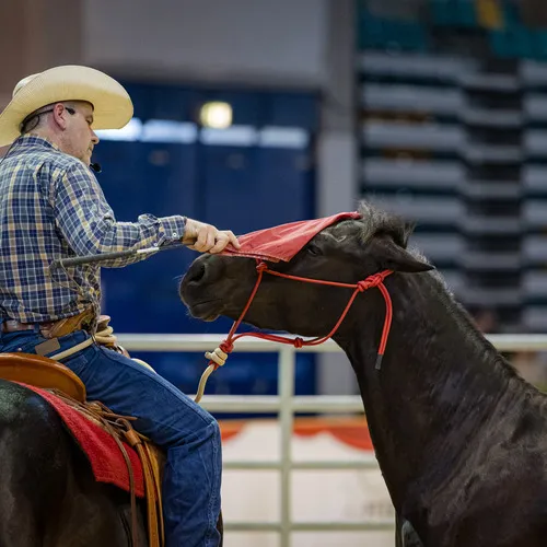 Michael Graf - MIKEs FotoGRAFie - Freitag NM (17).jpg