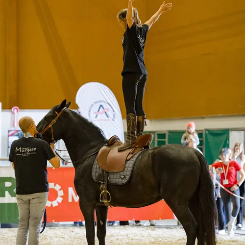 MIchael Graf - MIKEs FotoGRAFie - Freitag VM&NM (34).jpg