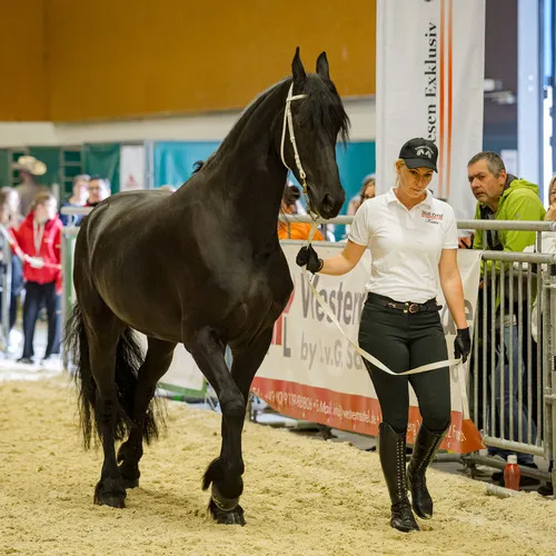 MIchael Graf - MIKEs FotoGRAFie - Freitag VM&NM (14).jpg