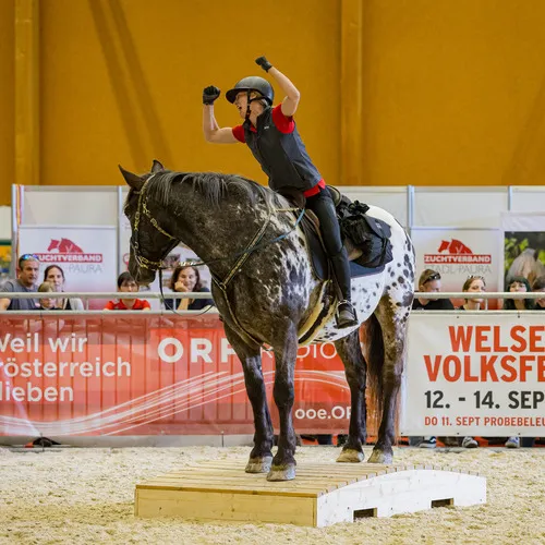 MIchael Graf - MIKEs FotoGRAFie - Freitag VM&NM (29).jpg