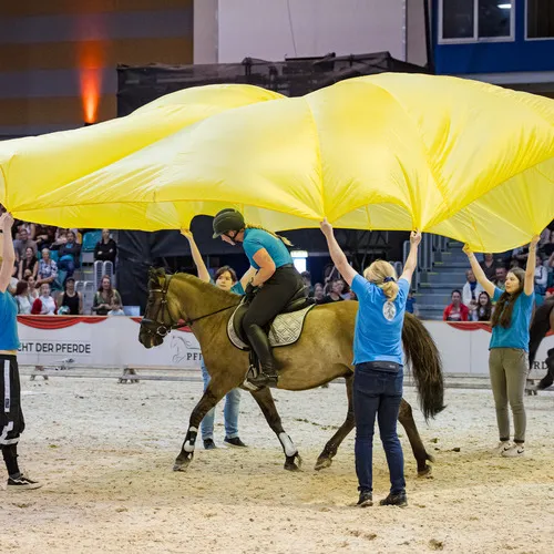 MIchael Graf - MIKEs FotoGRAFie - Freitag VM&NM (50).jpg