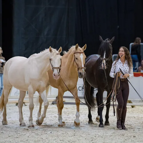 MIchael Graf - MIKEs FotoGRAFie - Freitag VM&NM (69).jpg