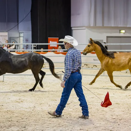 MIchael Graf - MIKEs FotoGRAFie - Freitag VM&NM (53).jpg