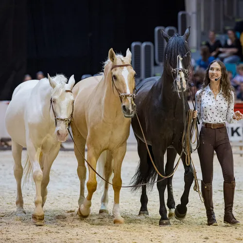 MIchael Graf - MIKEs FotoGRAFie - Freitag VM&NM (71).jpg
