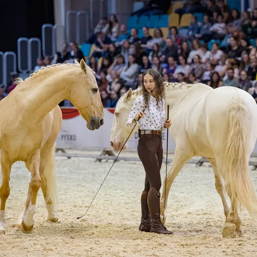 MIchael Graf - MIKEs FotoGRAFie - Freitag VM&NM (74).jpg
