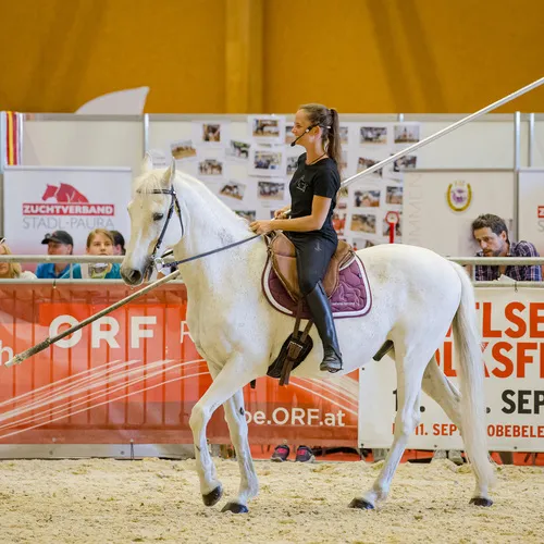 Michael Graf - MIKEs FotoGRAFie - Samstag Nachmittag (88).jpg