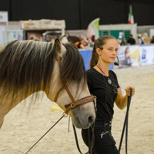 Michael Graf - MIKEs FotoGRAFie - Samstag VM (7).jpg