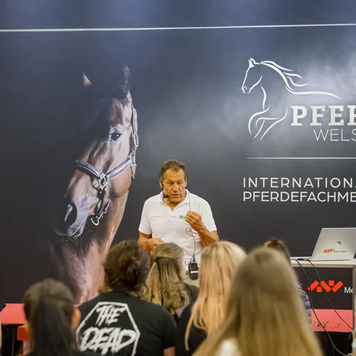 Michael Graf - MIKEs FotoGRAFie - Samstag VM (13).jpg