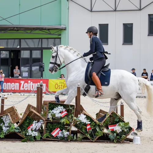 Michael Graf - MIKEs FotoGRAFie - Sonntag Nachmittag (2).jpg