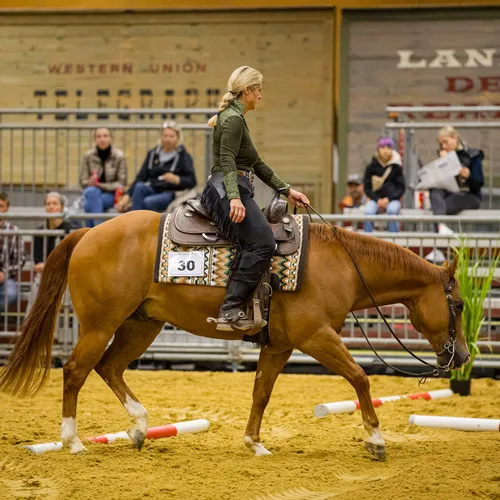 PFERD25_Do_VM_Quelle Michael Graf-MIKEs FotoGRAFie (22).jpg