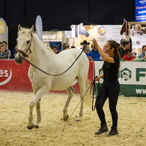 PFERD25_Do_VM_Quelle Michael Graf-MIKEs FotoGRAFie (66).jpg