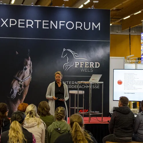 PFERD25_Do_VM_Quelle Michael Graf-MIKEs FotoGRAFie (76).jpg