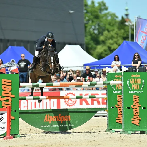 PFERD25_Patrik Majher_Quelle TeamMyrtill.JPG