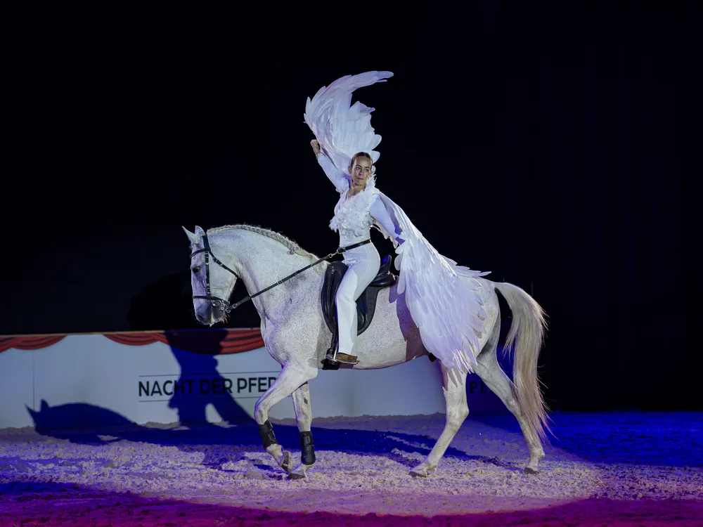 Nacht der Pferde 2025