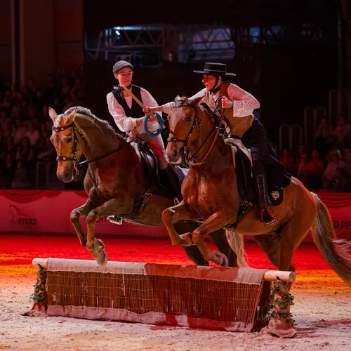 Aktivstall Aichbuehl (c) Michael Graf (2).jpg