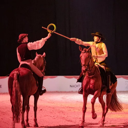 Aktivstall Aichbuehl (c) Michael Graf (3).jpg