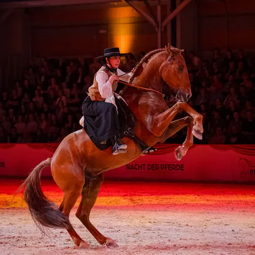 Aktivstall Aichbuehl (c) Michael Graf (4).jpg