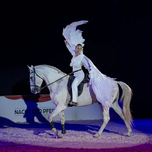 Caval Show La Paloma (c) Michael Graf (1).jpg