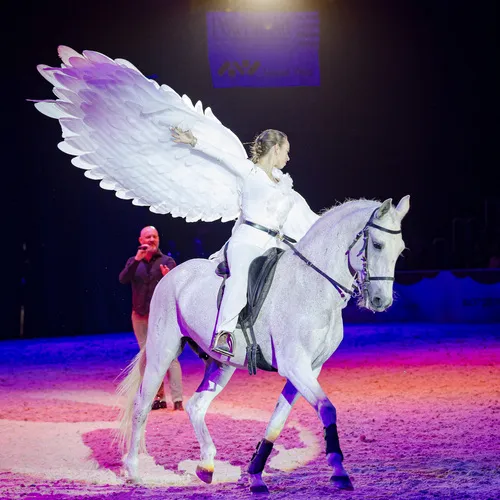 Caval Show La Paloma (c) Michael Graf (3).jpg