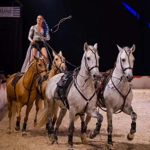 CAVAL SHOW Poste Hongroise (c) Michael Graf (3).jpg