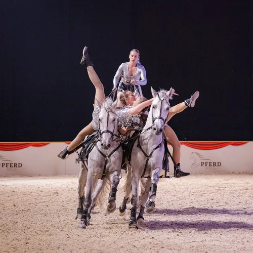 CAVAL SHOW Poste Hongroise (c) Michael Graf (2).jpg