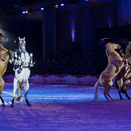 Dysli-Tisseur (c) Michael Graf (1).jpg