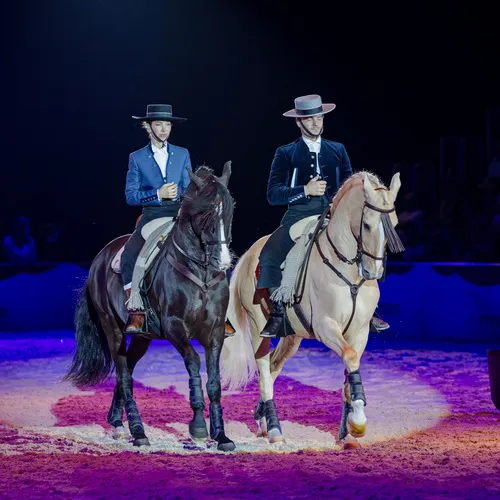 Dysli-Tisseur (c) Michael Graf (3).jpg