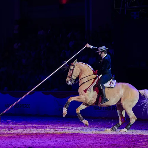 Dysli-Tisseur (c) Michael Graf (5).jpg