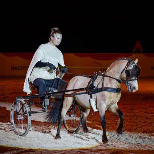 Fohlenhof Farbenfroh (c) Michael Graf.jpg