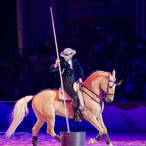 Laury Tisseur (c) Michael Graf (4).jpg