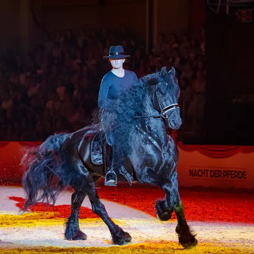 Michael Graf - MIKEs FotoGRAFie - Samstag Show (70).jpg