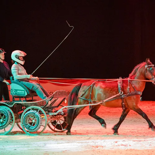 Schloegelhofer Junioren (c) Michael Graf (2).jpg