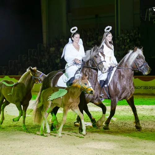 Team Goetz (c) Michael Graf (8).jpg