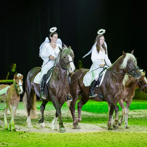 Team Goetz (c) Michael Graf (1).jpg