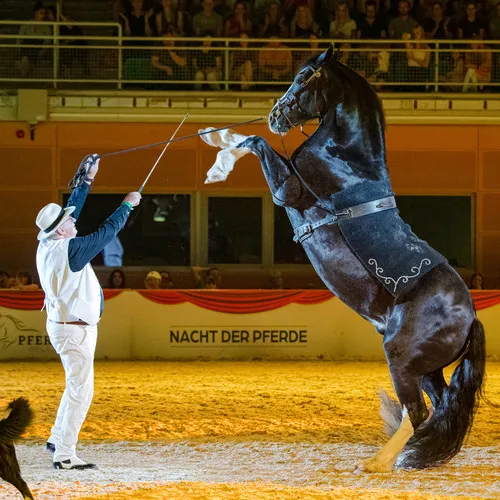 Willy Schauberger (c) Michael Graf (1).jpg