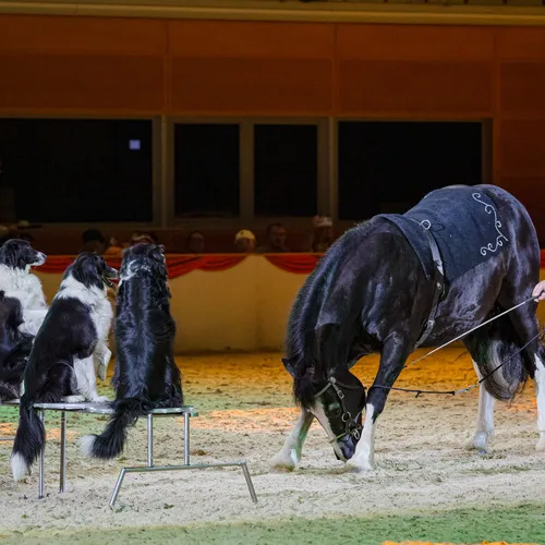 Willy Schauberger (c) Michael Graf (2).jpg