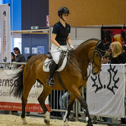 Michael Graf - MIKEs FotoGRAFie - Donnerstag NM (44).jpg