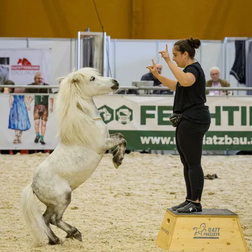 Michael Graf - MIKEs FotoGRAFie - Donnerstag NM (35).jpg