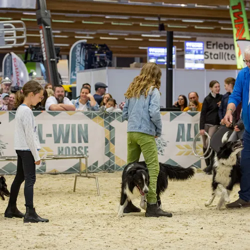Michael Graf - MIKEs FotoGRAFie - Donnerstag NM (23).jpg